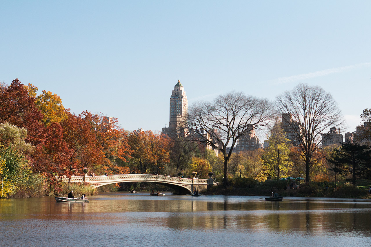 November in Central Park by SHINE Photo+Design